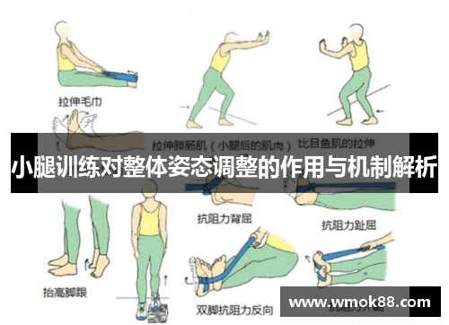 小腿训练对整体姿态调整的作用与机制解析
